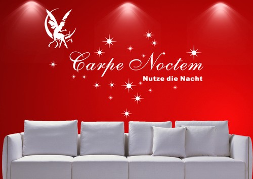 Wandtattoo carpe noctem nutze - wandtattoo,